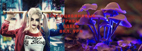 прущая мука Алексин